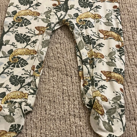 Kate Quinn Chameleon and Leaf Print Footsie - Picture 4 of 5